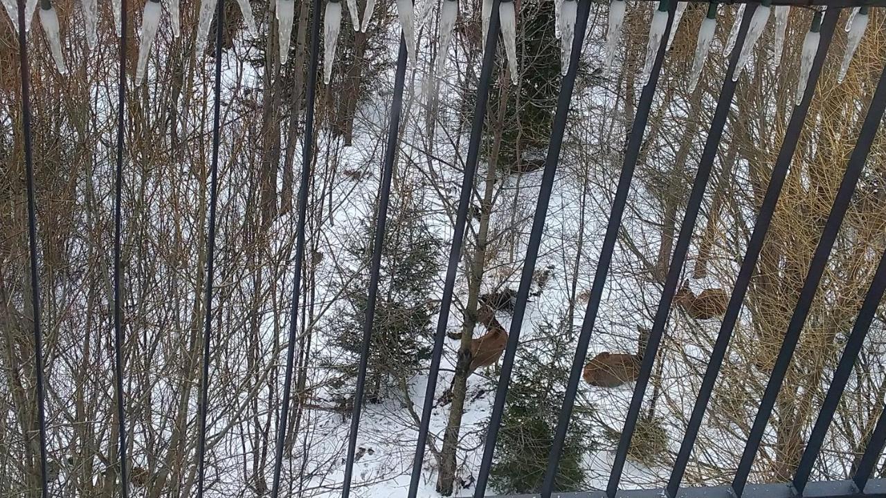 Apartmán Ostrý Vŕšok v Starom Smokovci Appartamento Vysoké Tatry Esterno foto